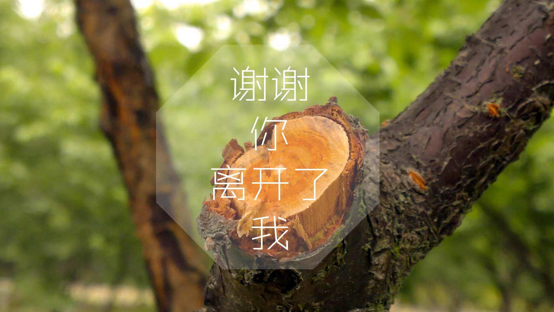 开云中国-足球场地智能温控系统助力节能环保，足球场智能化解决方案