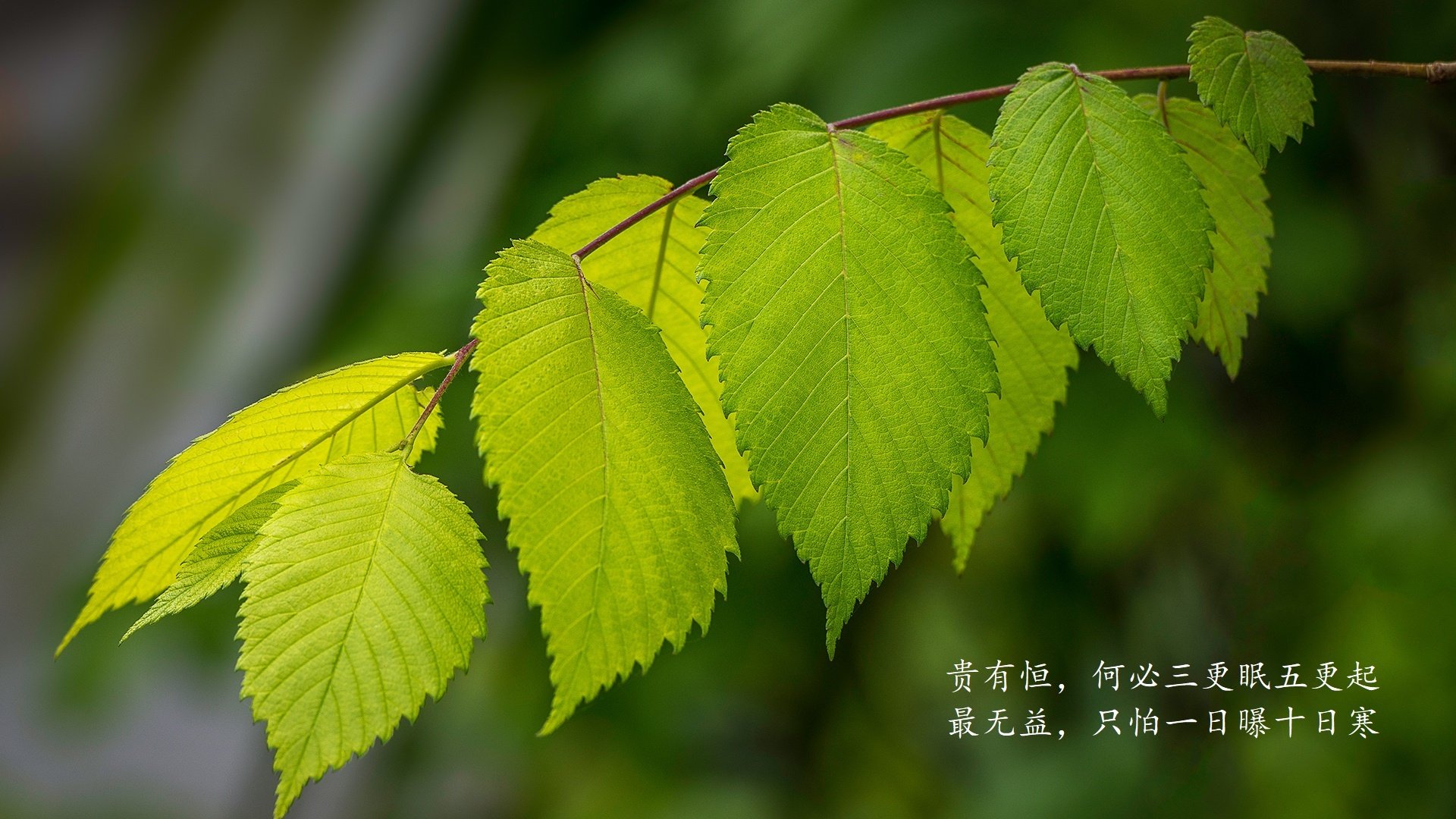 开云体育-车手的险峻训练场景大公开，车手yoyo