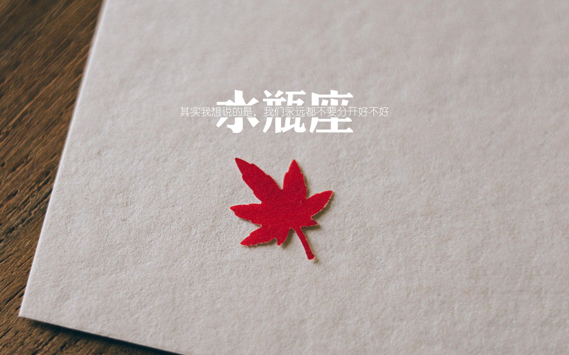 开云官方-欧洲杯快节奏对决：攻防转换令人目不暇接，欧洲杯进阶